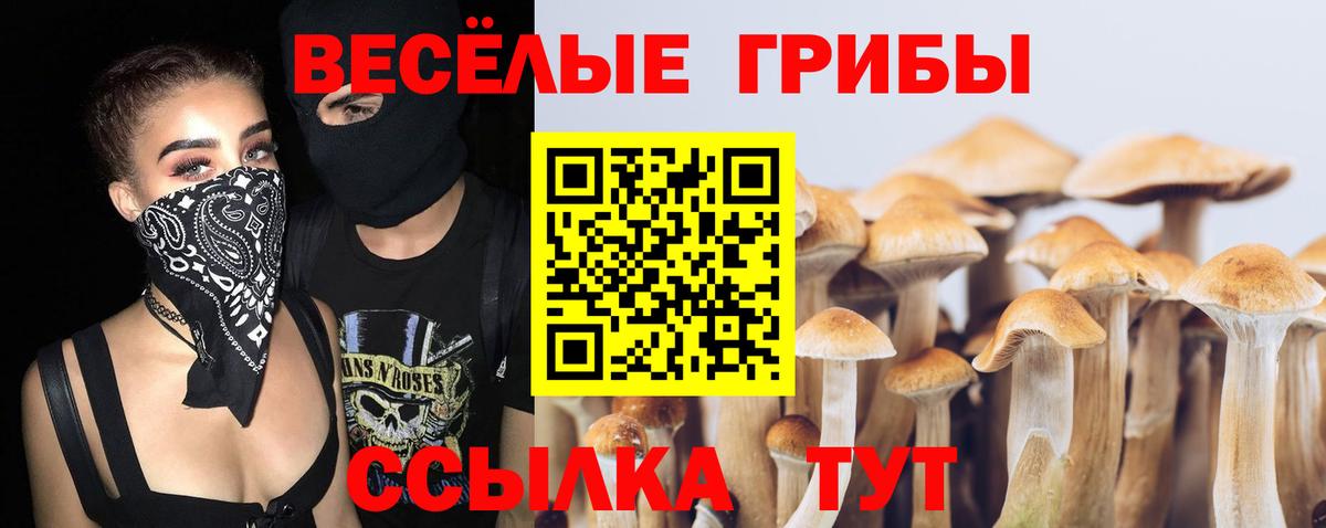 Верхний Уфалей  Галлюциногенные грибы ЛСД  Вход с VPN 